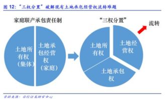 安信證券 一號文件發(fā)布在即 關(guān)注農(nóng)業(yè)供給側(cè)機(jī)會