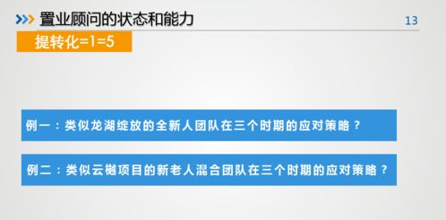 營銷 中南地產銷售管理中的關鍵要素確定及組合運用