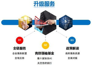 創(chuàng)新管理與資本運(yùn)作實訓(xùn)營課程來了