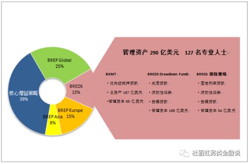 黑石投資與運(yùn)營策略的迭代升級 從機(jī)會性投資到主題投資