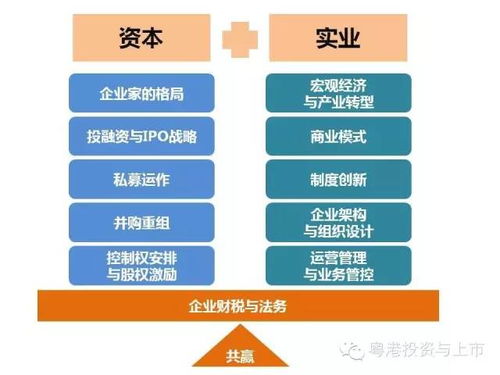 上市公司市值管理與資本運作