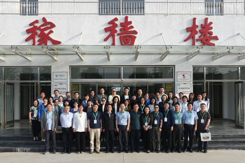 資產(chǎn)經(jīng)營公司開展企業(yè)管理人員履職能力提升行動