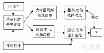 資管新規落地