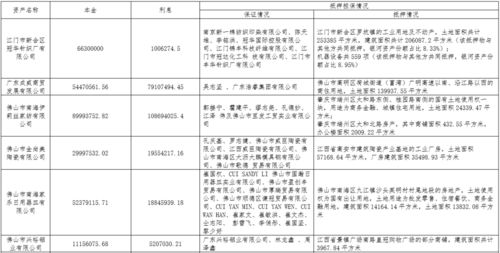 中國銀河資產管理有限責任公司關于江門冠華針織廠等8戶不良債權的營銷公告