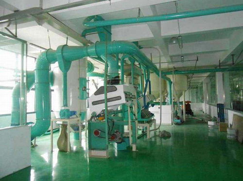 辦一個面粉加工廠需要投資多少