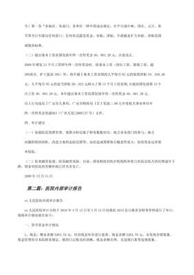 醫院內部審計報告-wenkub