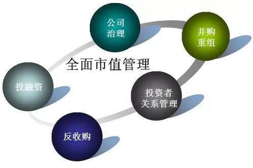 金融服務 中國上市公司市值管理 資本運作